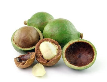 Macadamia