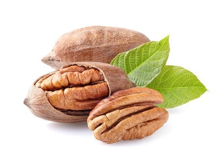 pecan