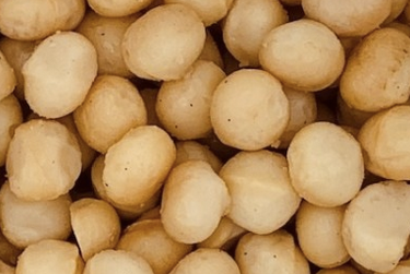 Macadamia roasted without salt