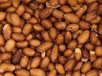 Peanuts with skin roasted