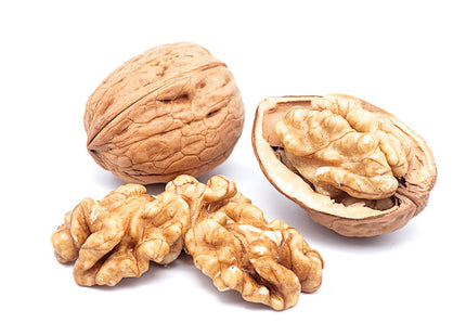 Walnuts in shell france