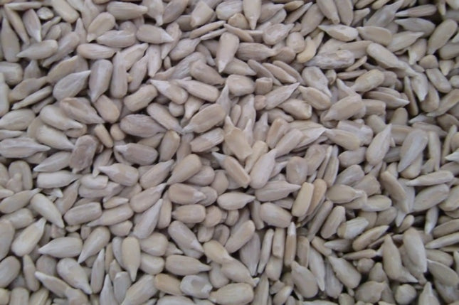 Sunflower Seeds